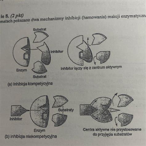 Zadanie 8 Na Schematach Pokazano Dwa Mechanizmy Inhibicji Hamowania