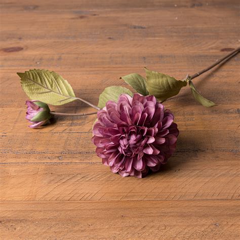 Dusty Pink Dahlia Stem Belvic Furniture