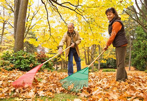 Ergonomic Form For Raking Leaves Occupational Therapy Services