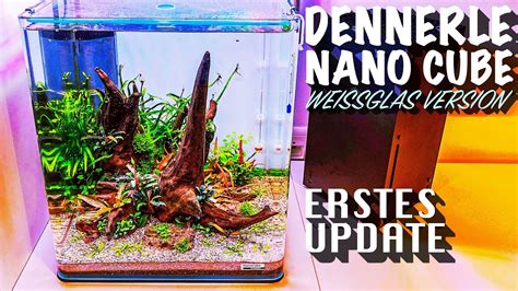 Dennerle Nano Cube Liter Weissglas Version Erstes Update Youtube