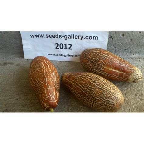 Sikkim Cucumber Seeds - Price €1.55