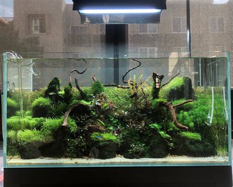 Aquazone