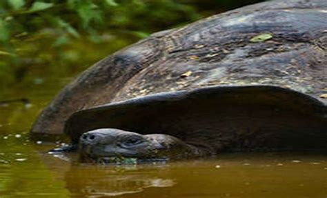 8 Day Galapagos Horizon Trimaran Eastern And Central Galapagos Islands