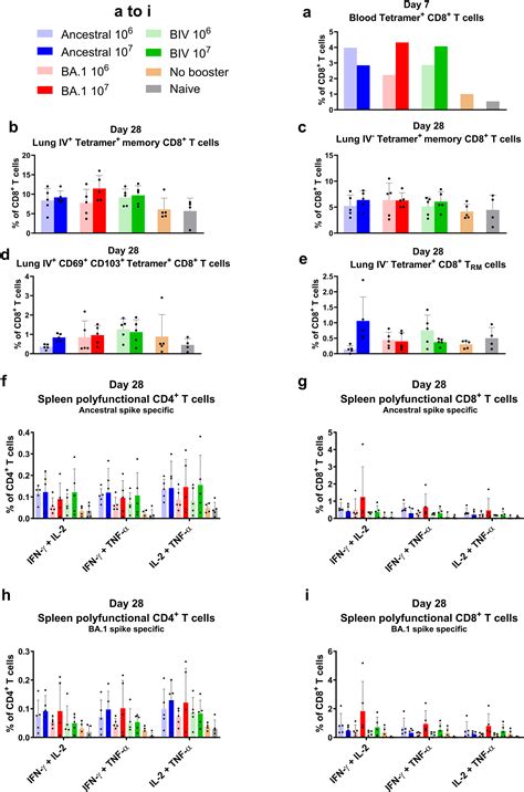 Intranasal Sars Cov 2 Omicron Variant Vaccines Elicit Humoral And