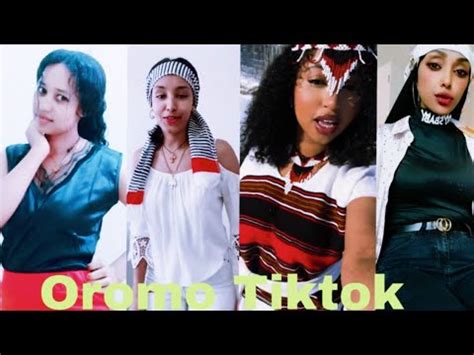 Sirba Afaan Oromoo Haaraa 2023 Oromo Music Oromotiktok YouTube