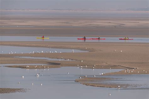 Frankreich Somme Baie De Somme Le Bild Kaufen Lookphotos