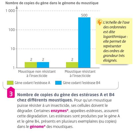 La Biodiversité Résultat Et étape De Lévolution