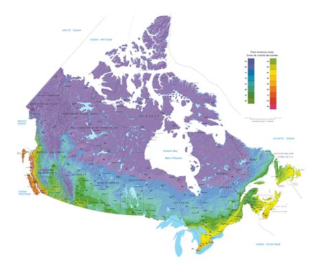 2025 Us Hardiness Zone Map Genny Jourdan