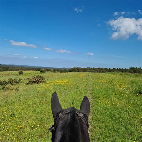 Lulworth Equestrian Centre Home