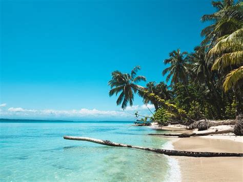 Os Melhores Resorts Para Lua De Mel Em Prov Ncia De Bocas Del Toro