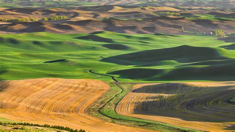 Palouse Hills in Steptoe Butte State Park - backiee