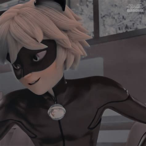 Miraculous Tales Of Ladybug And Cat Noir Chat Noir Matching Icons