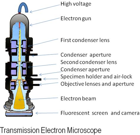 What Is an Electron Microscope?