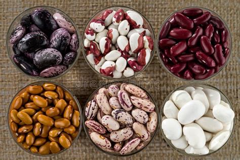 Six Different Varieties of Beans Stock Photo - Image of bean ...