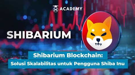 Shibarium Blockchain Understanding How It Works Challenges