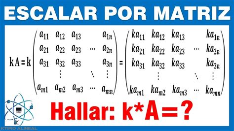 Multiplicación de una matriz por un Escalar YouTube