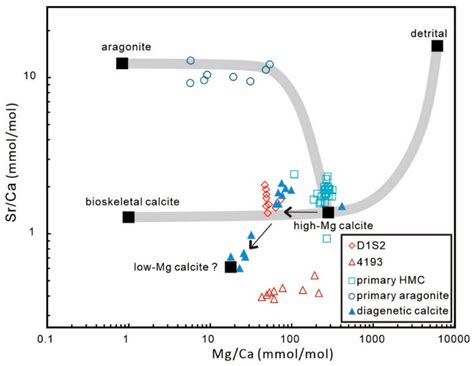 Plot Of Srca Vs Mgca Ratios Of The Studied Low Magnesium Calcites