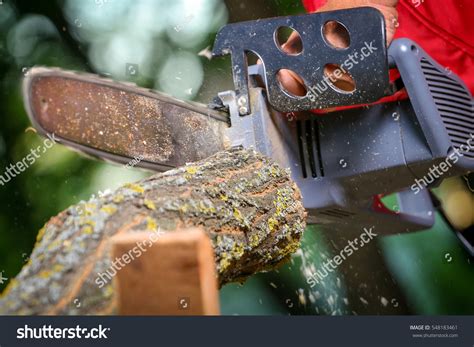 Man Chainsaw Cutting Tree Stock Photo 548183461 Shutterstock