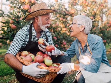 25x Smullen Van Seizoensgroenten En Fruit In September Libelle