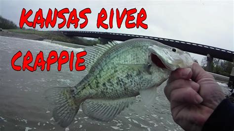 Jigs And Minnows Catching Crappie At This Kansas Spillway Youtube