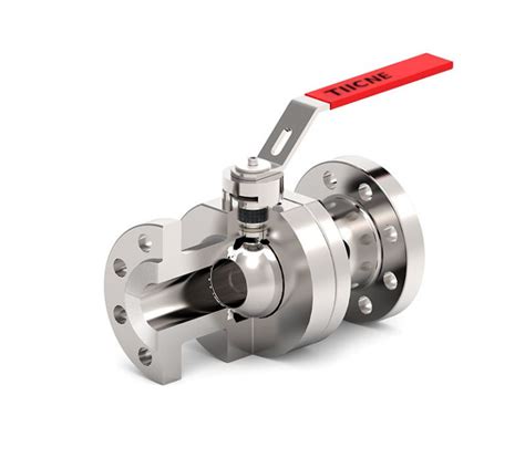 Floating Ball Valves TIICNE