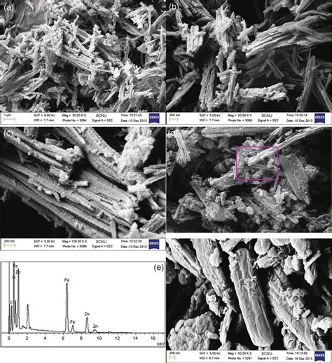 A A Panoramic Sem Of The Inflorescence Spicate Znfe O B And C