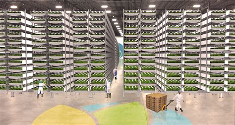 Photos Of Aerofarms The World S Largest Vertical Farm Business Insider