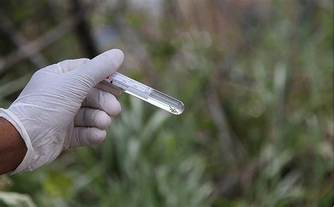 CASOS DE DENGUE NA BAHIA AUMENTAM 459 Liberdade Bom Sucesso A Voz