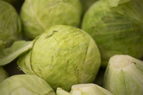 Cabbage On The Market Green Cabbage Leaf Stock Image Image Of