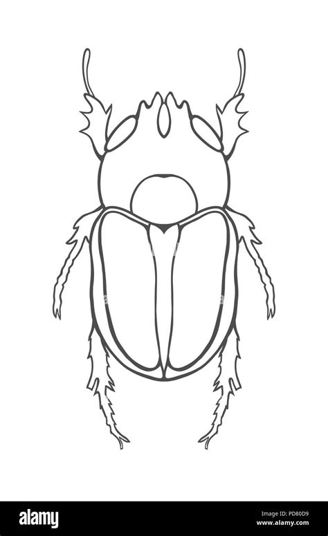 Horned Beetle. Big Insect Line art. Drawing by hand. Graphic arts ...