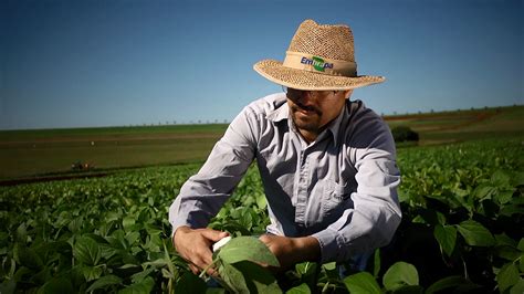 O Engenheiro Agr Nomo Como Agente De Transforma O No Campo