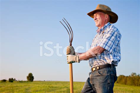 Farmer Holding Pitchfork Looking Left Stock Photo Royalty Free