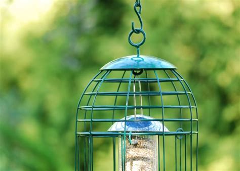 Hanging Bird Feeders - Bird FeedersBird Feeders