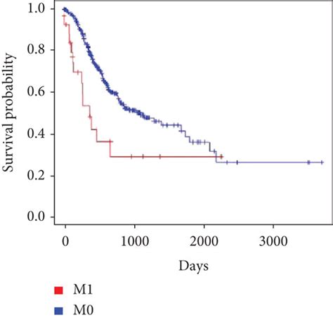 Kaplan Meier Survival Analysis Of Clinical Features And Overall