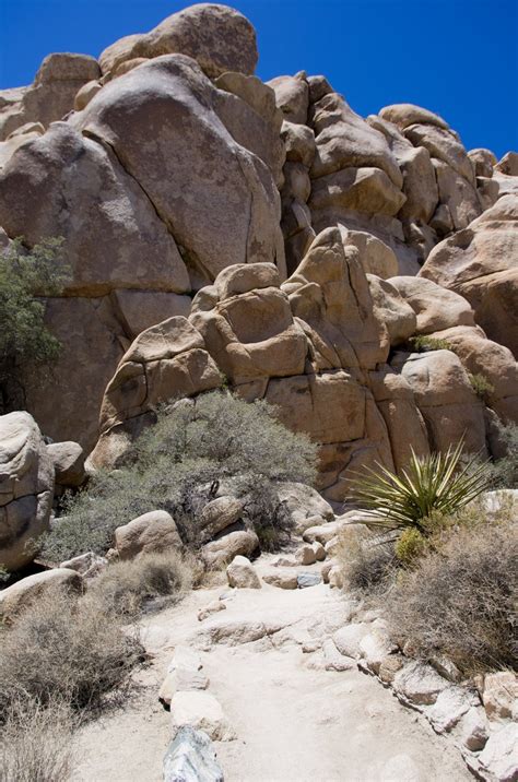 hidden valley trail joshua tree 9