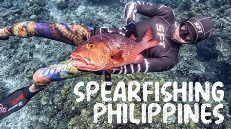 Spearfishing Philippines Dreaming Big Fish YouTube