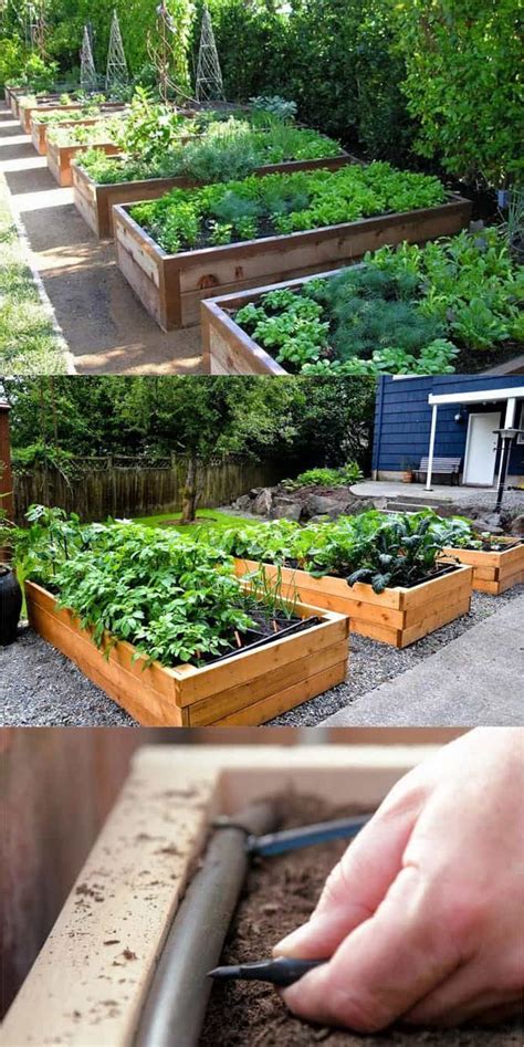 How To Build A Raised Vegetable Garden Gardenerdy