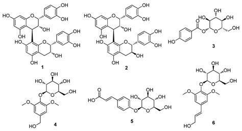 The Chemical Structures Of The Isolated Compounds 16 Procyanidin B2