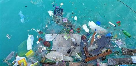 Inquinamento Da Microplastiche Gli Scienziati Stanno Ancora Imparando