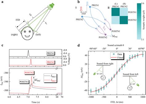 Sound Azimuth Detection By Spatiotemporal Processing A Schematic