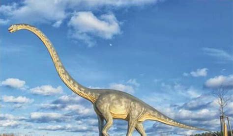 10 Long Neck Dinosaurs That You Should Know | MyDinosaurs