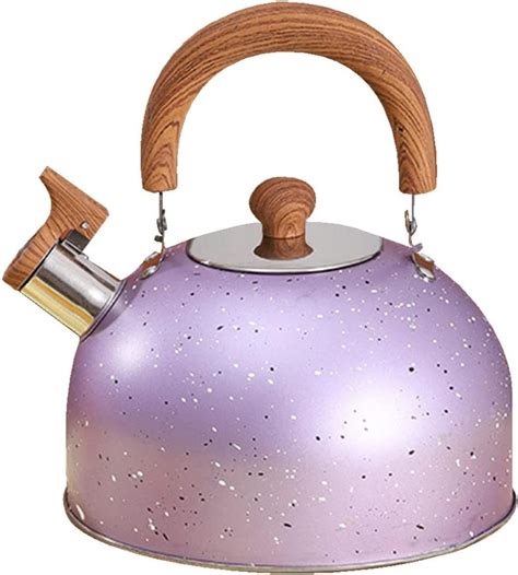 Stainless Steel Gas Kettle With Whistle Portable Camping Kettle