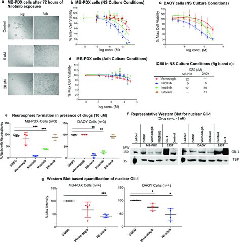 Nilotinib Inhibits Cell Viability And Neurosphere Formation In