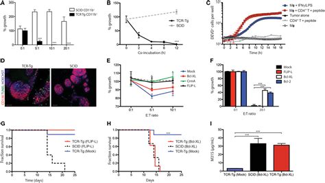 Frontiers Tumor Killing By Cd4 T Cells Is Mediated Via Induction Of