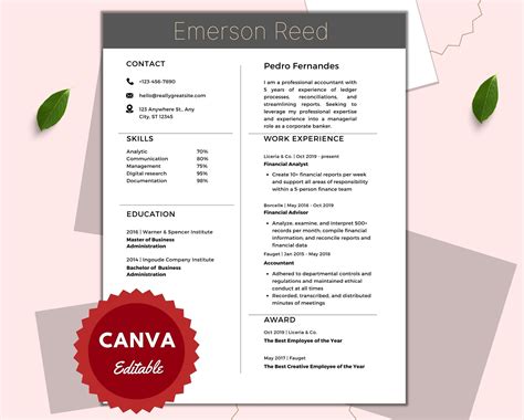 Ceo Resume Templates Artofit