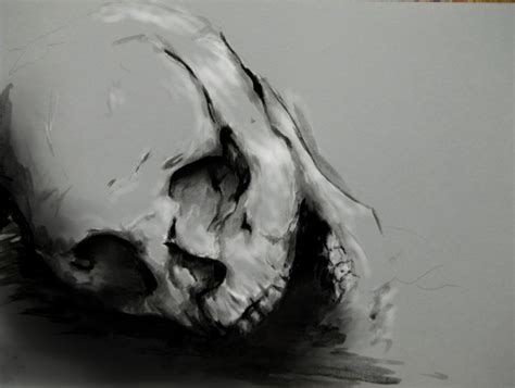 Skull By Lera1412 On DeviantArt