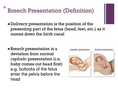 Types Of Breech Presentation Ultrasound