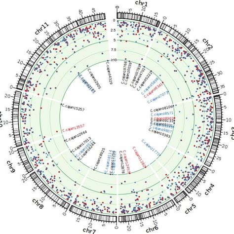 Single Nucleotide Polymorphism Snp Density Ratios Of Genes From Icpl Download Scientific