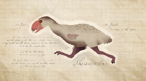 This Thunderous Goose Relative Was Built Like A Tank With The Wings Of A Songbird Scientific