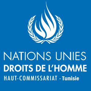 Le Bureau Du Haut Commissariat Aux Droits De L Homme Des Nations